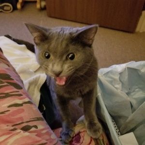 Meet your Posher, Darla